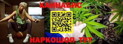 СК Котовск