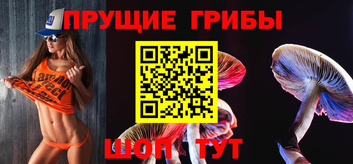 Псилоцибиновые грибы GOLDEN TEACHER  Вход с VPN  Таганрог 