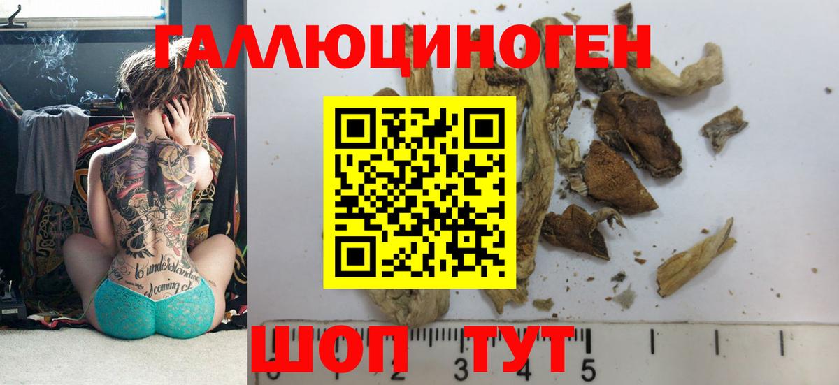 Галлюциногенные грибы мицелий Таганрог